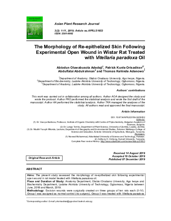 (PDF) The Morphology of Re-epithelized Skin Following Experimental Open ...