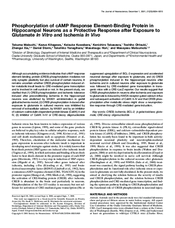 (PDF) Phosphorylation of cAMP Response Element-Binding Protein in ...