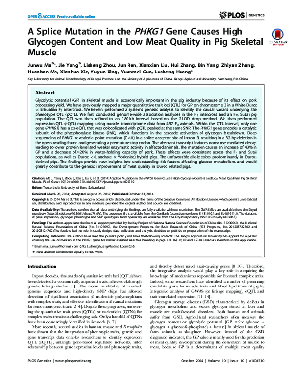 (PDF) A Splice Mutation in the PHKG1 Gene Causes High Glycogen Content and Low Meat Quality in