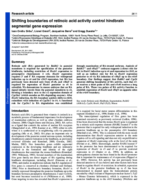 (PDF) Shifting boundaries of retinoic acid activity control hindbrain ...