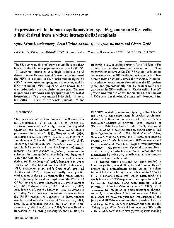 (PDF) Expression of the human papillomavirus type 16 genome in SK-v ...