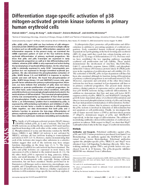 (PDF) Differentiation stage-specific activation of p38 mitogen ...