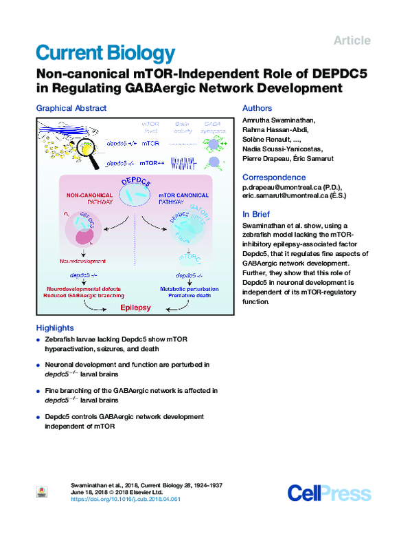 (PDF) Non-canonical mTOR-Independent Role of DEPDC5 in Regulating ...