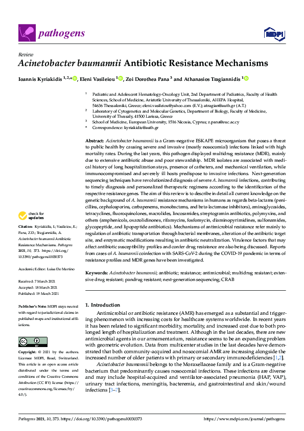 (PDF) Acinetobacter baumannii Antibiotic Resistance Mechanisms