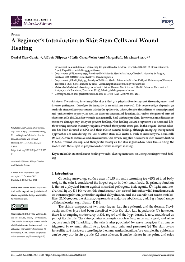 (PDF) A Beginner’s Introduction to Skin Stem Cells and Wound Healing
