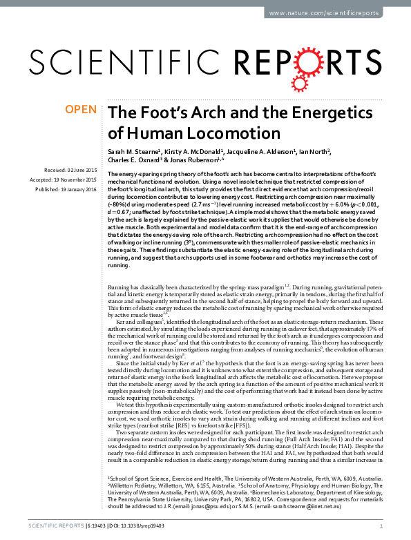 (PDF) The Foot's Arch and the Energetics of Human Locomotion