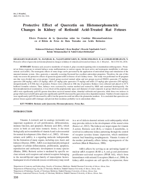 (PDF) Protective Effect of Quercetin on Histomorphometric Changes in ...