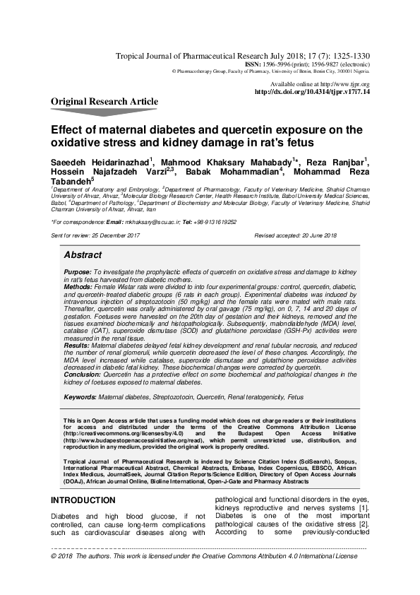 (PDF) Effect of maternal diabetes and quercetin exposure on the ...