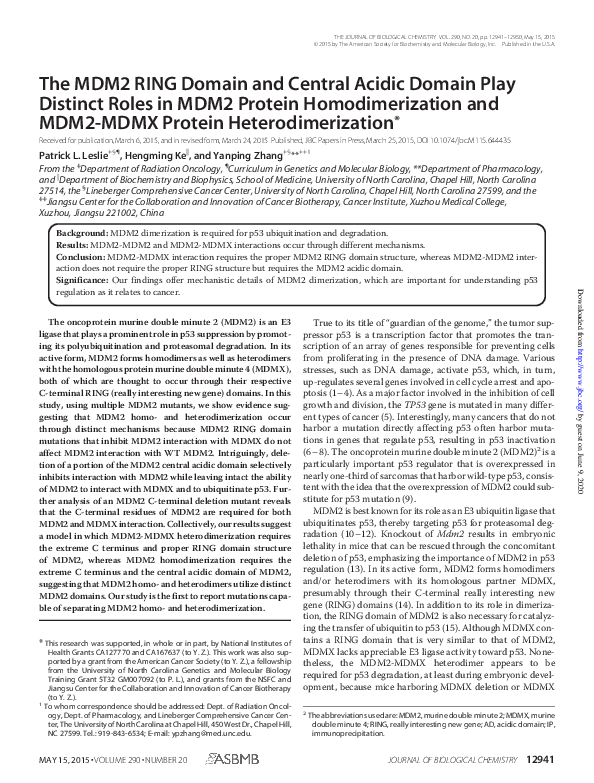 (PDF) The MDM2 RING and central acidic domains play distinct roles in ...
