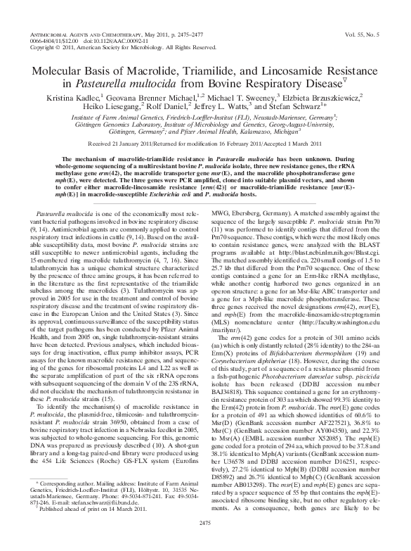 (PDF) Molecular Basis of Macrolide, Triamilide, and Lincosamide ...