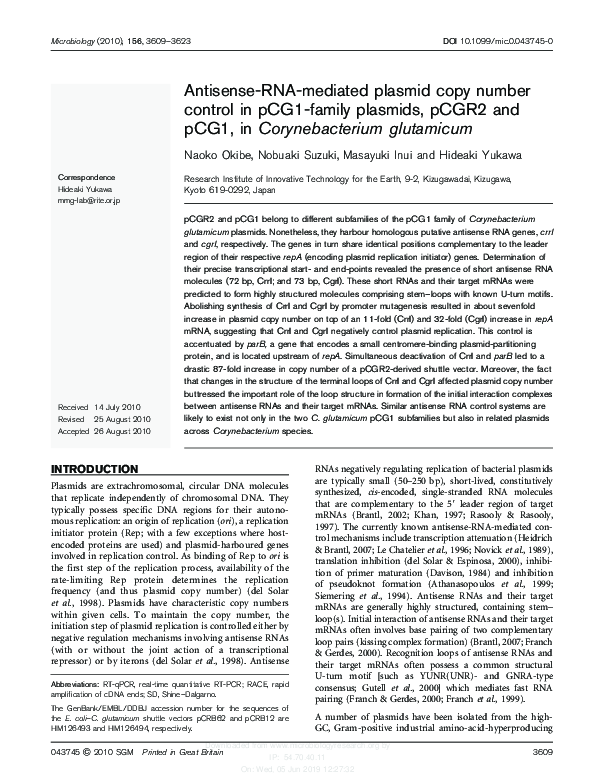(PDF) Antisense-RNA-mediated plasmid copy number control in pCG1-family ...