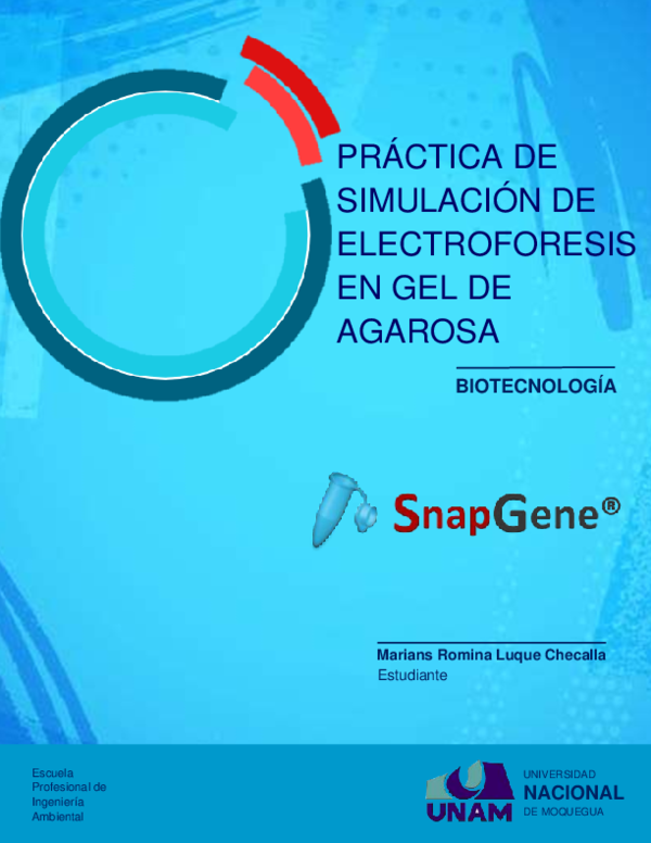 (PDF) INFORME - SIMULACIÓN DE GEL DE AGAROSA EN SNAPGENE | Marians ...