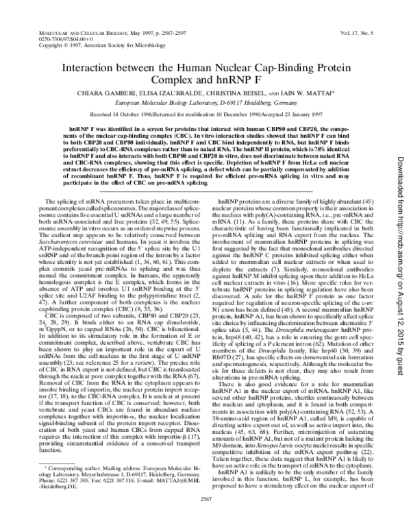 (PDF) Interaction between the human nuclear cap-binding protein complex ...