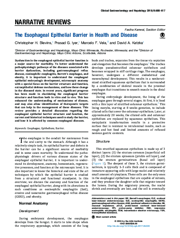 (PDF) The Esophageal Epithelial Barrier in Health and Disease