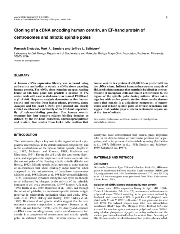 (PDF) Cloning of a cDNA encoding human centrin, an EF-hand protein of ...