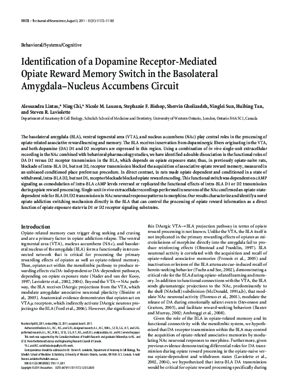 (PDF) Identification of a Dopamine Receptor-Mediated Opiate Reward ...