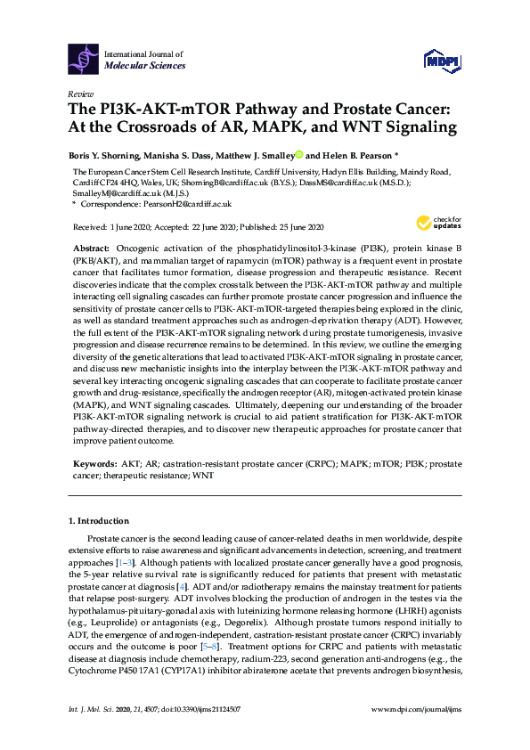 (PDF) The PI3K-AKT-mTOR Pathway and Prostate Cancer: At the Crossroads ...
