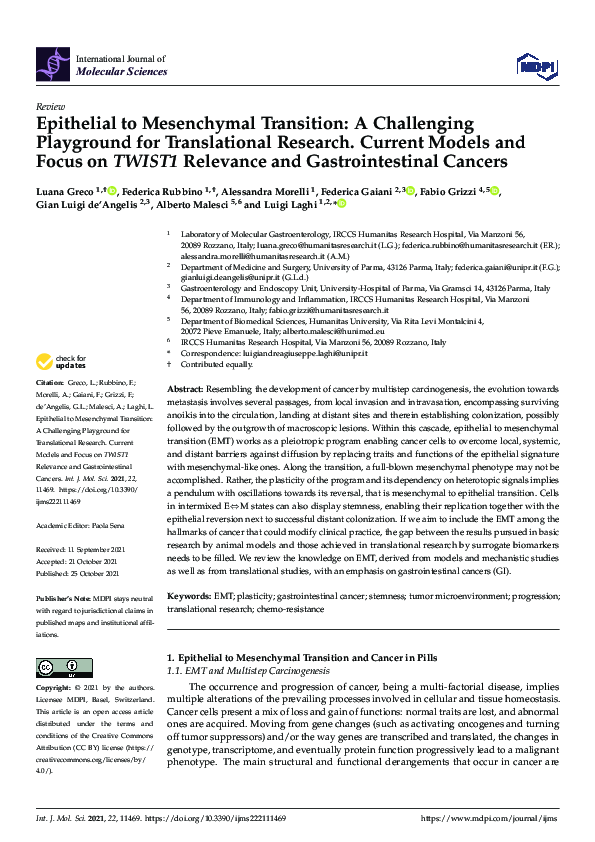 (PDF) Epithelial to Mesenchymal Transition: A Challenging Playground ...