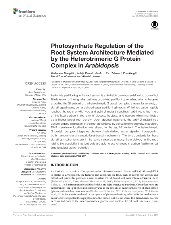 (PDF) Photosynthate Regulation of the Root System Architecture Mediated ...