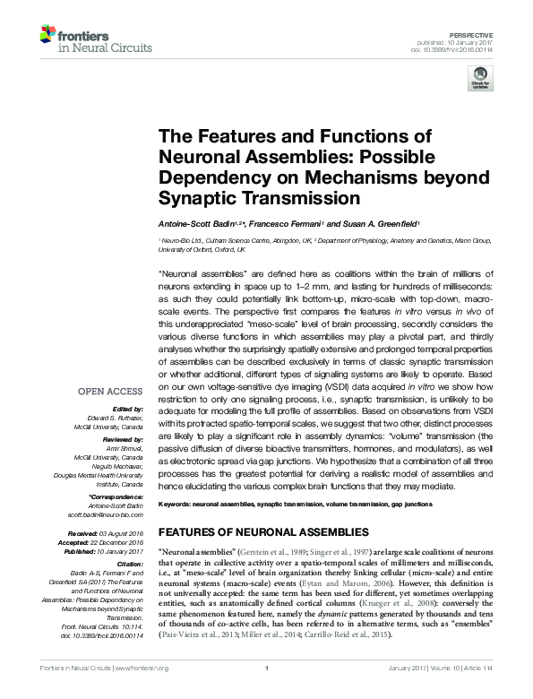 (PDF) The Features and Functions of Neuronal Assemblies: Possible ...