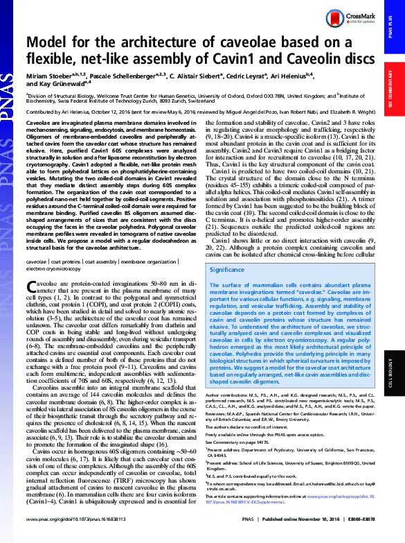 (PDF) Model for the architecture of caveolae based on a flexible, net ...