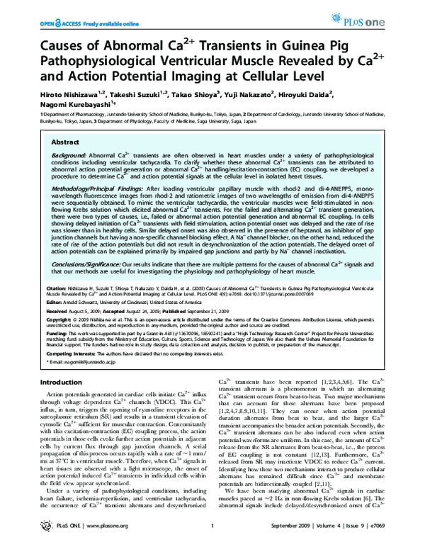 (PDF) Causes of Abnormal Ca2+ Transients in Guinea Pig ...
