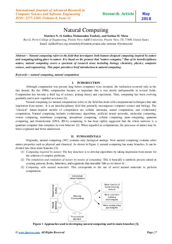 (PDF) Natural Computing