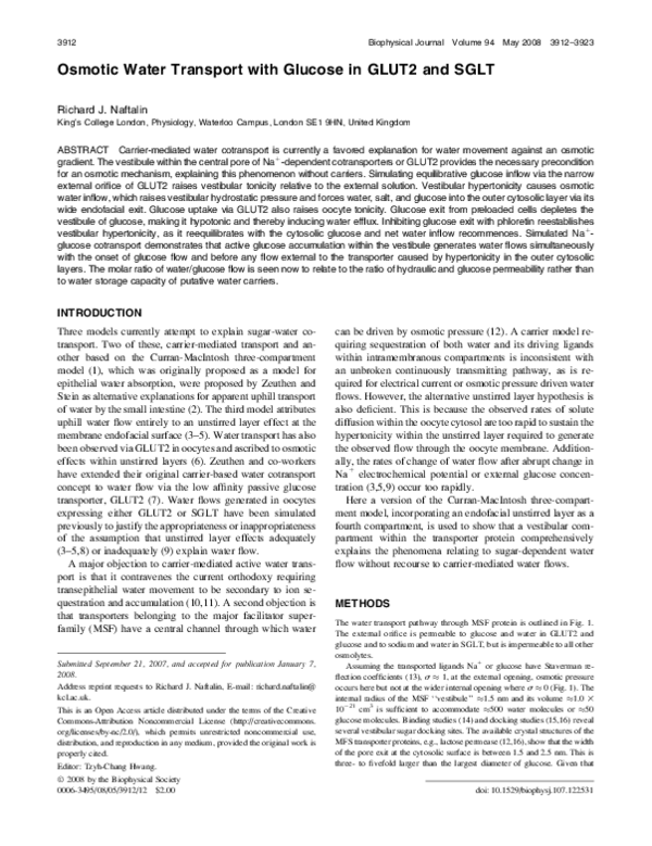 (PDF) Osmotic Water Transport with Glucose in GLUT2 and SGLT