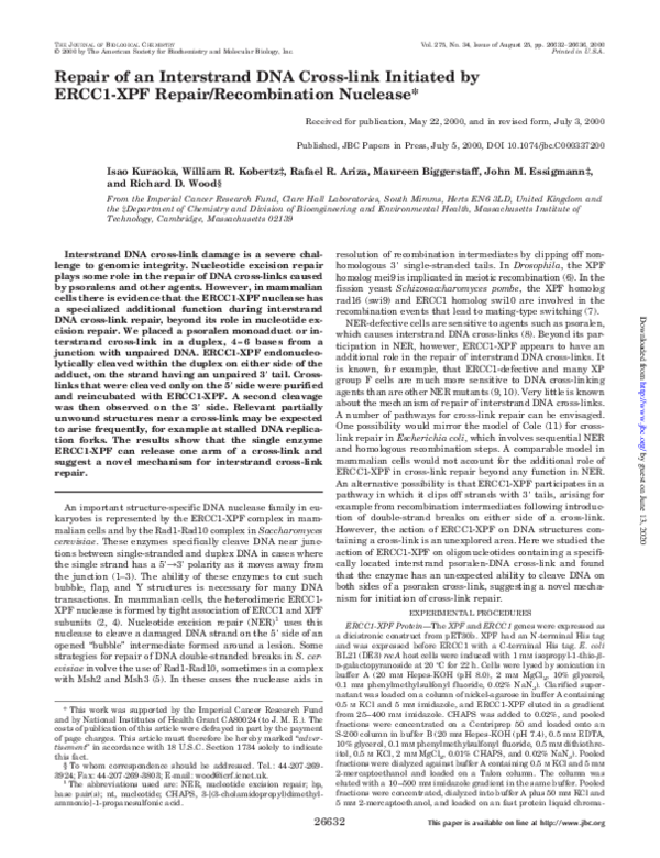(PDF) Repair of An Interstrand DNA Cross-Link Initiated by ERCC1-XPF ...