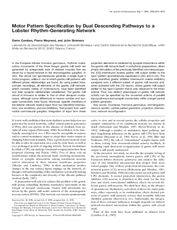 (PDF) Motor pattern specification by dual descending pathways to a