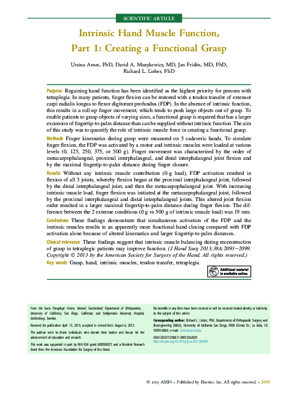 (PDF) Intrinsic Hand Muscle Function, Part 1 Creating a Functional