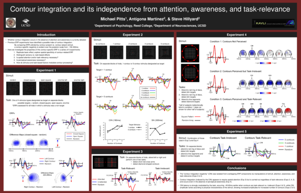 (PDF) Contour integration and its independence from attention ...