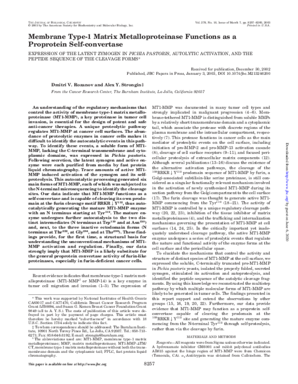 (PDF) Membrane Type-1 Matrix Metalloproteinase Functions as a ...