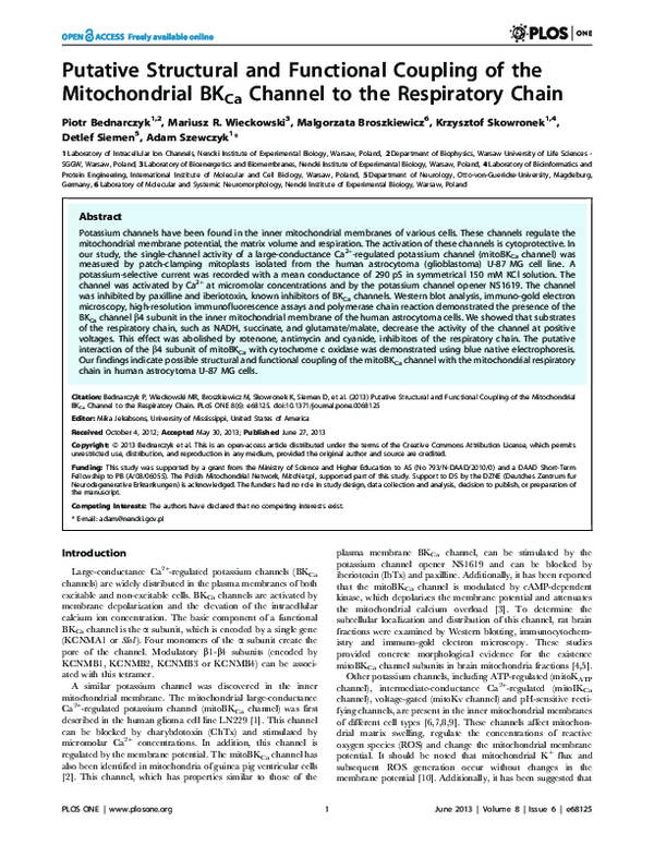 (PDF) Putative Structural and Functional Coupling of the Mitochondrial ...