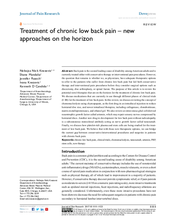 (PDF) Treatment of chronic low back pain - new approaches on the horizon