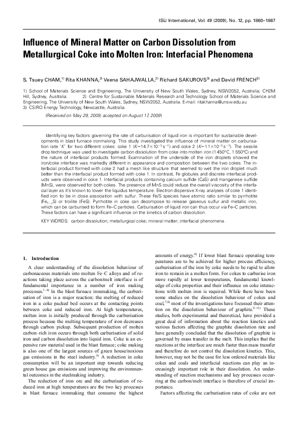 (PDF) Influence of Mineral Matter on Carbon Dissolution from ...