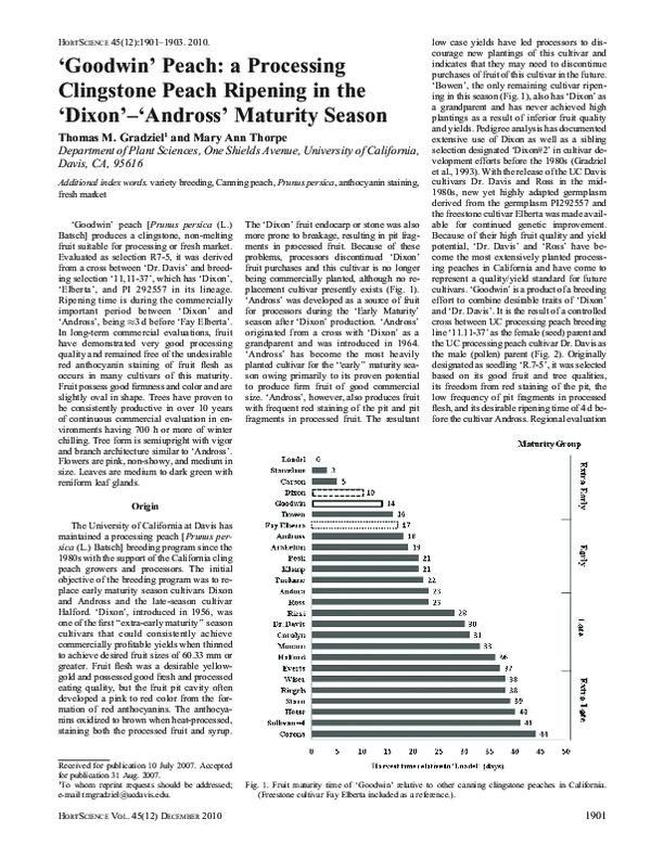 (PDF) ‘Goodwin’ Peach: a Processing Clingstone Peach Ripening in the ...