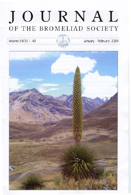 PDF) Uses in Puya raimondii
