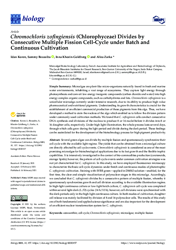 (PDF) Chromochloris zofingiensis (Chlorophyceae) Divides by Consecutive Multiple Fission Cell