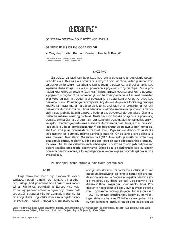(PDF) Basis of Pig Coat Color Vladimir Margeta Academia.edu