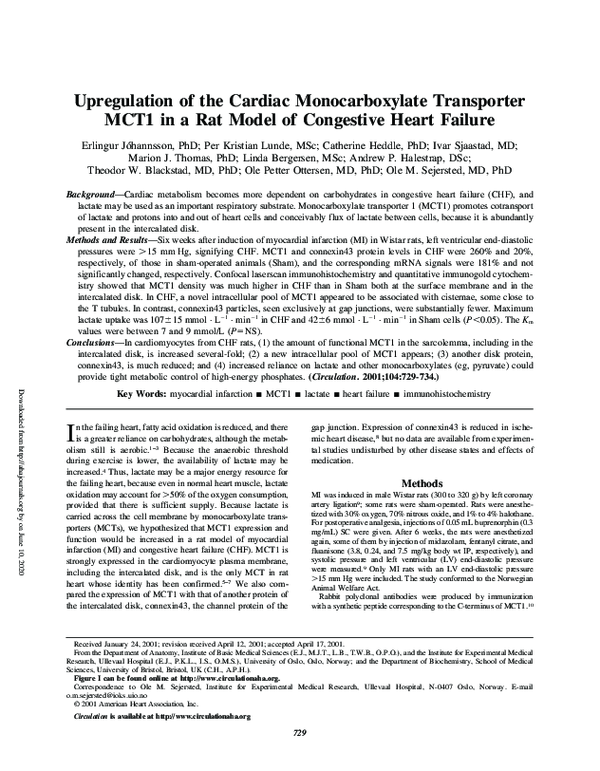 (PDF) Upregulation of the Cardiac Monocarboxylate Transporter MCT1 in a ...