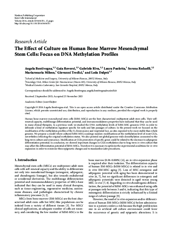 (PDF) The Effect of Culture on Human Bone Marrow Mesenchymal Stem Cells ...