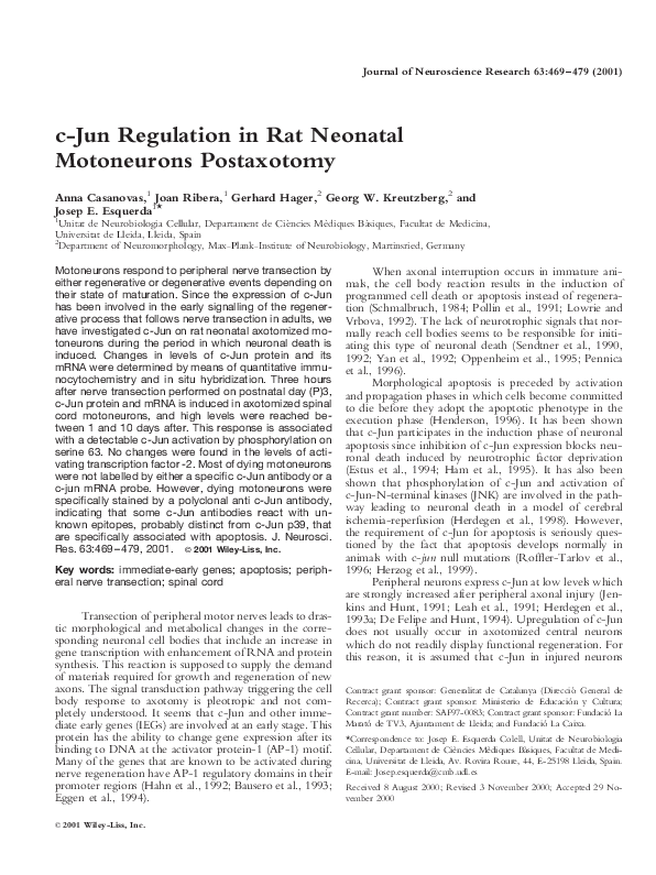 (PDF) c-Jun regulation in rat neonatal motoneurons postaxotomy