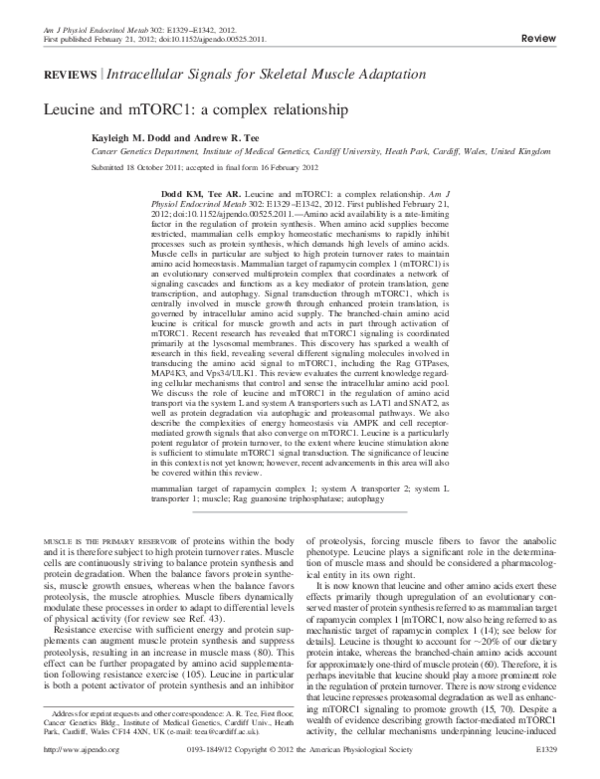 (PDF) Leucine and mTORC1: a complex relationship