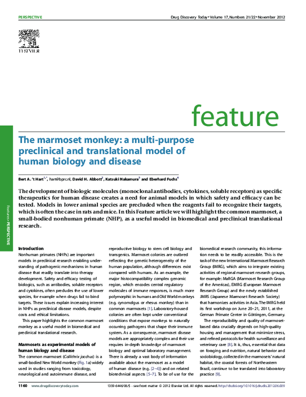 (PDF) The marmoset monkey: a multi-purpose preclinical and ...