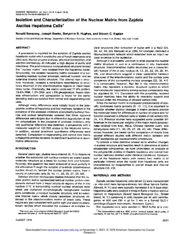 (PDF) Isolation and characterization of the nuclear matrix in Friend ...