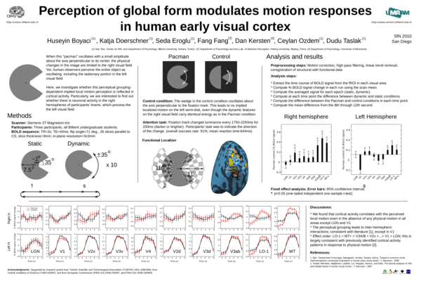 (PDF) Perception of global form modulates motion responses in human ...