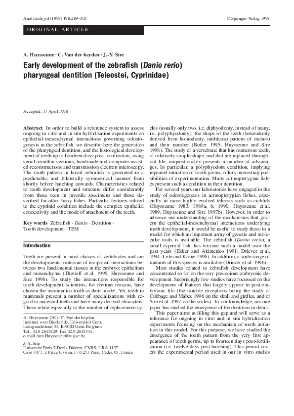 (PDF) Early development of the zebrafish ( Danio rerio ) pharyngeal ...