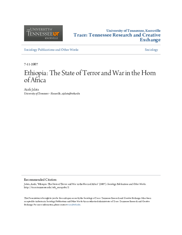 (PDF) Ethiopia: The State of Terror and War in the Horn of Africa