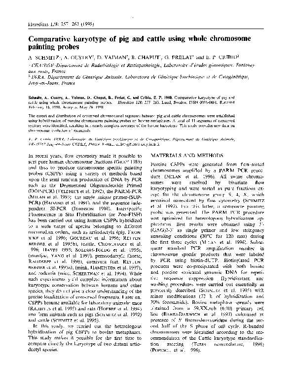 (PDF) Comparative Karyotype of Pig and Cattle Using Whole Chromosome ...